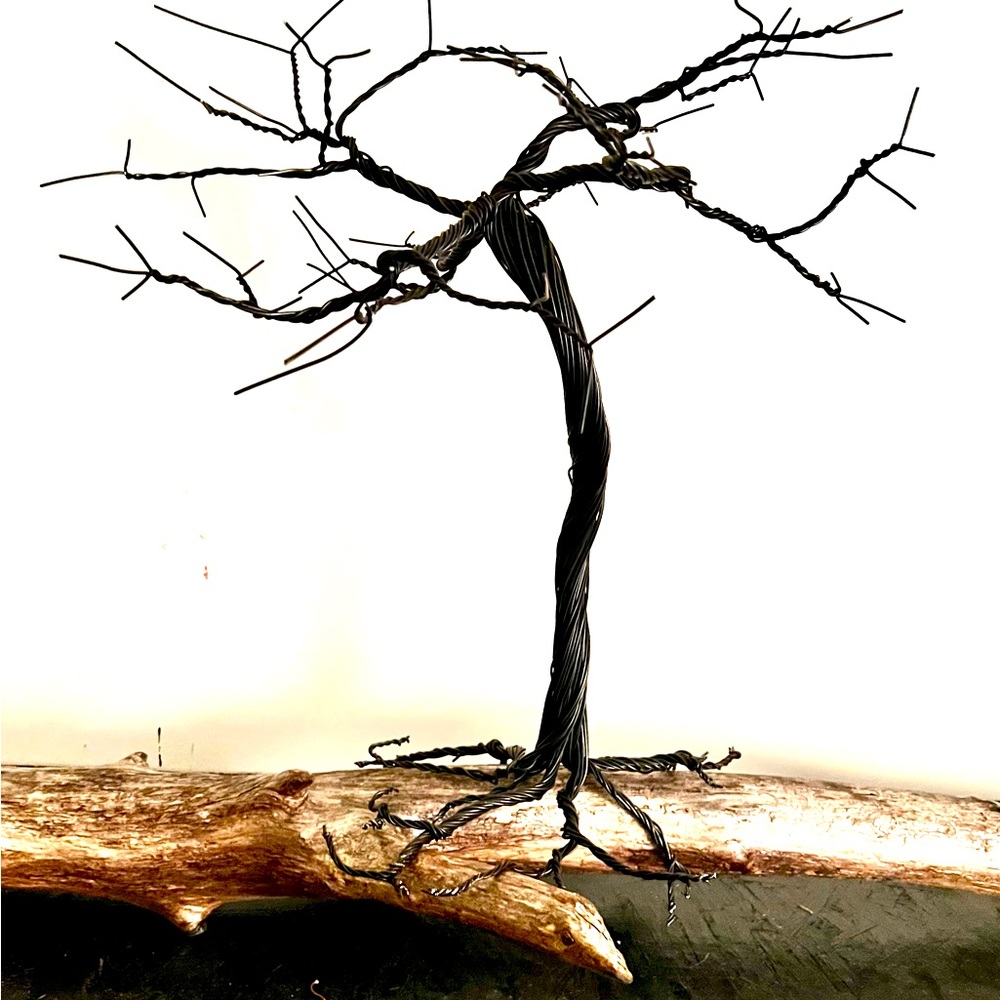 Custom bonsai tree jewelry holder